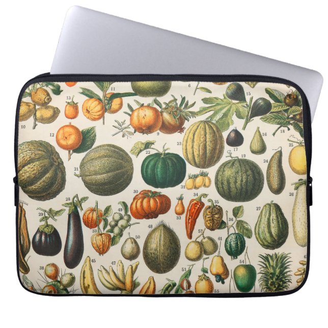 Fruit Vegetable Botanical Scientific Illustration Laptop Sleeve (Front)