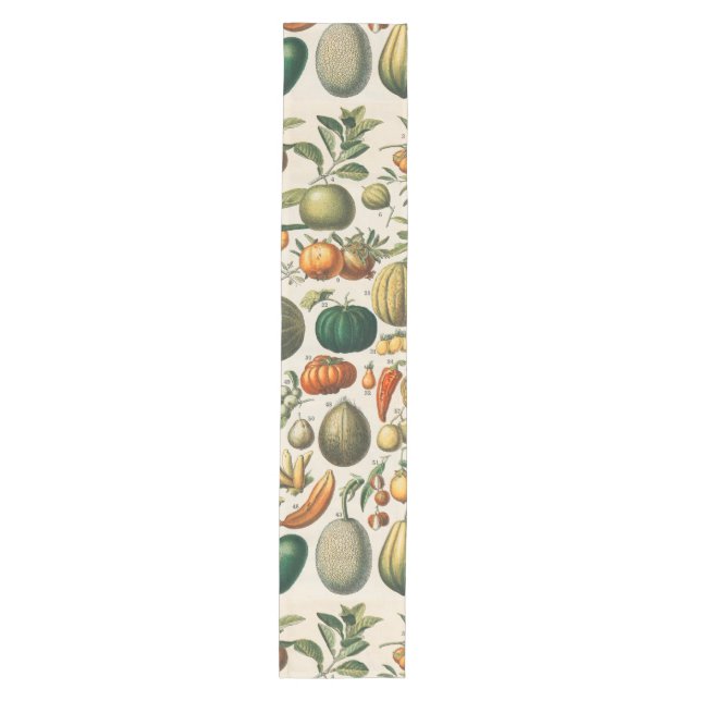 Fruit Vegetable Botanical Scientific Illustration Medium Table Runner (Front)