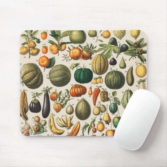 Fruit Vegetable Botanical Scientific Illustration Mouse Pad (With Mouse)