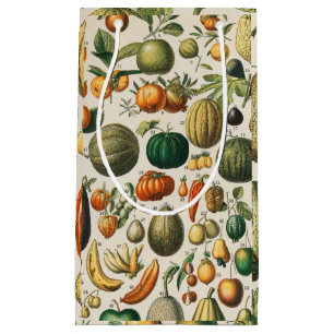 Fruit Vegetable Botanical Scientific Illustration Small Gift Bag