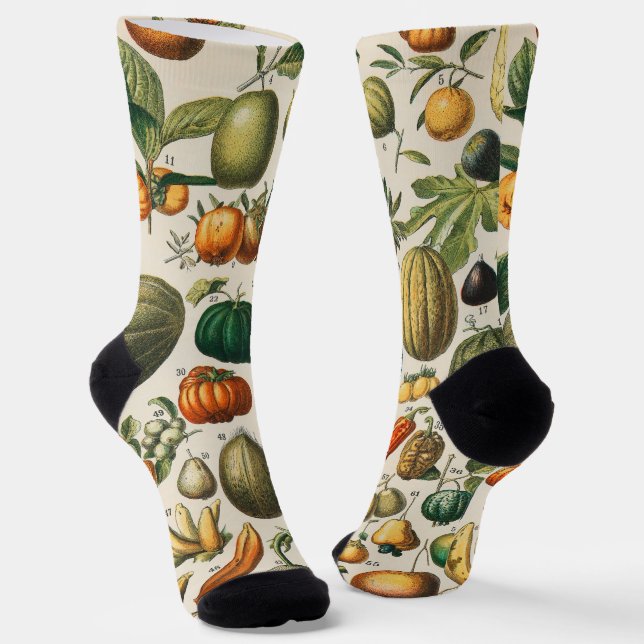 Fruit Vegetable Botanical Scientific Illustration Socks (Angled)