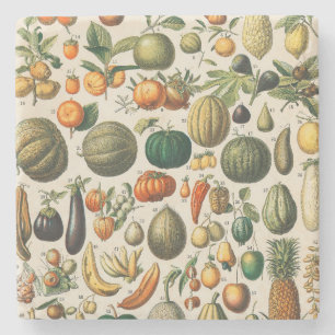 Fruit Vegetable Botanical Scientific Illustration Stone Coaster