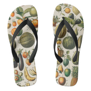 Fruit Vegetable Botanical Scientific Illustration Thongs