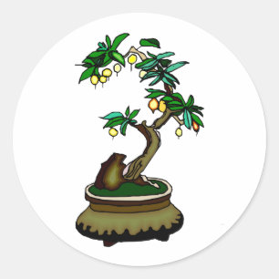 Fruiting Bonsai in Pot Bonsai Graphic Image Classic Round Sticker