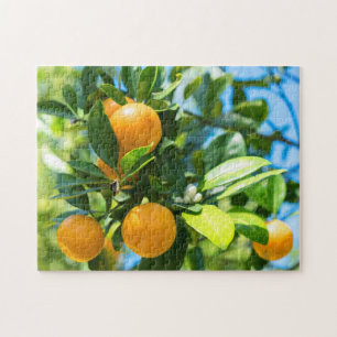 Fruiting Orange Tree Jigsaw Puzzle