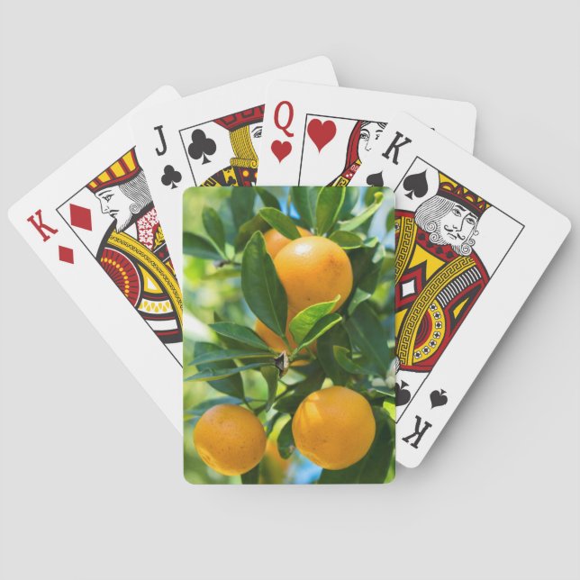 Fruiting Orange Tree Playing Cards (Back)