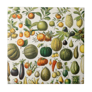 Fruits and Vegetables Ceramic Tile