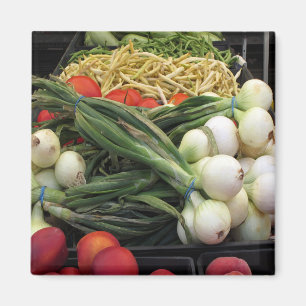 Fruits and Vegetables Magnet