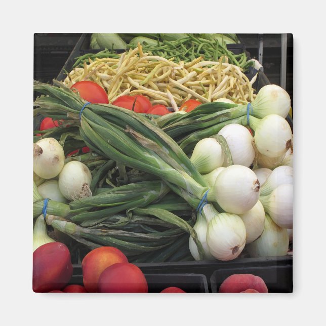 Fruits and Vegetables Magnet (Front)