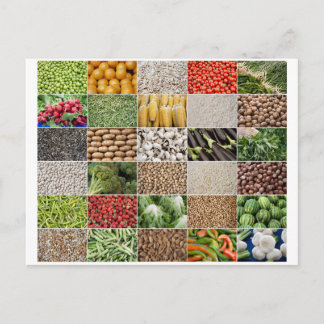 Fruits and Vegetables Postcard