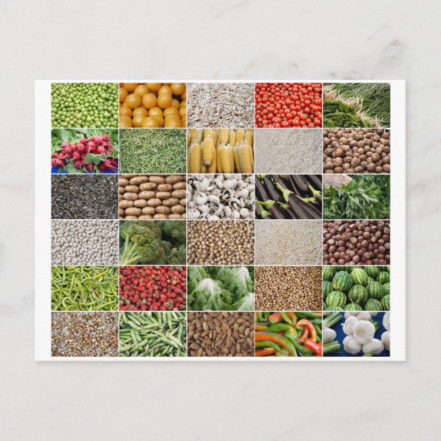Fruits and Vegetables Postcard (Front)