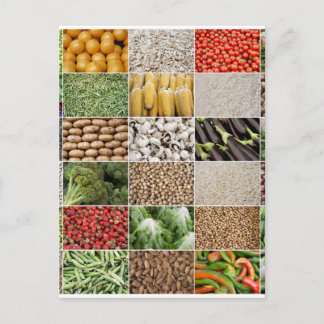 Fruits and Vegetables Postcard