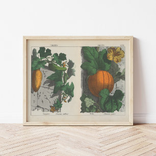 Fruits   Charlotte Mary Yonge Poster