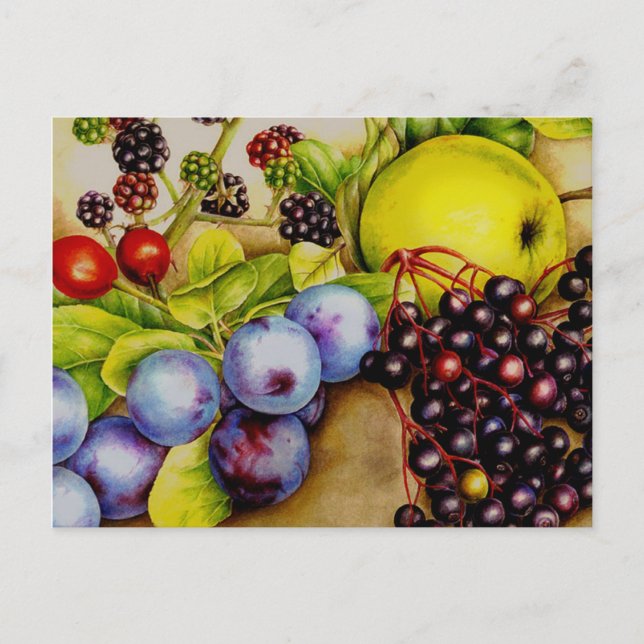 Fruits from the Hedgerow fruity fine art postcard (Front)