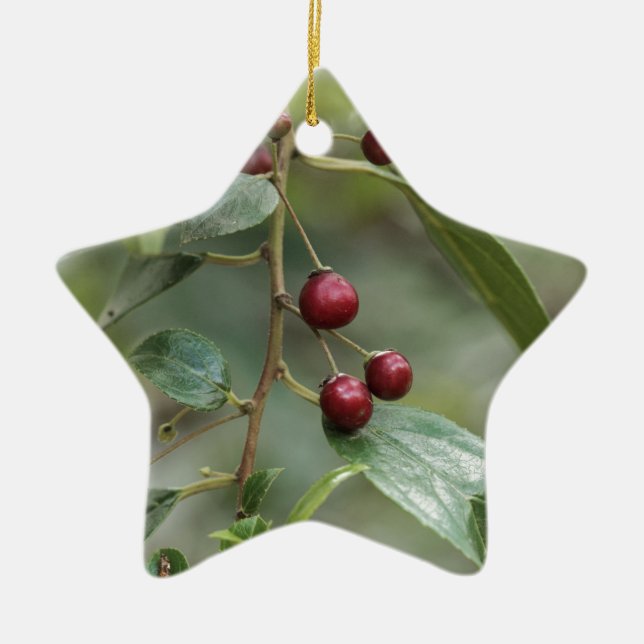 Fruits of a shiny leaf buckthorn ceramic ornament (Front)