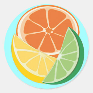 Fruity and Fun Classic Round Sticker