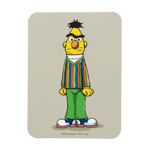 Frustrated Bert Magnet