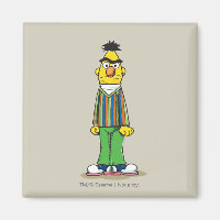Frustrated Bert