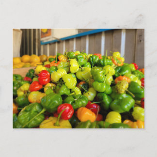 Frutera Aji Dulce Postcard