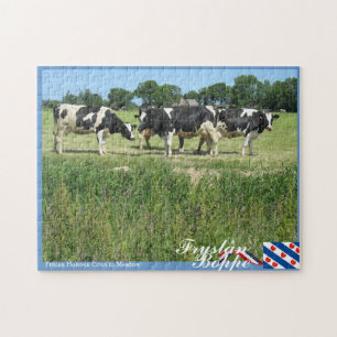 Fryslân Boppe Frisian Holstein Cows in Meadow Jigsaw Puzzle
