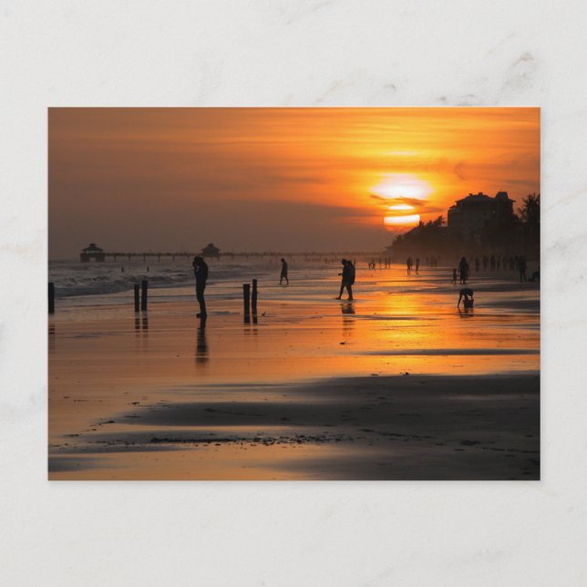 Ft. Myers Beach Florida at sunset Postcard (Front)