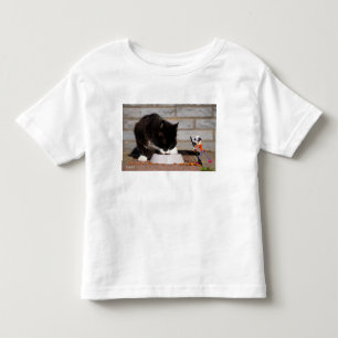 Fubby cleaning with the broom at eating Cat. Toddler T-Shirt