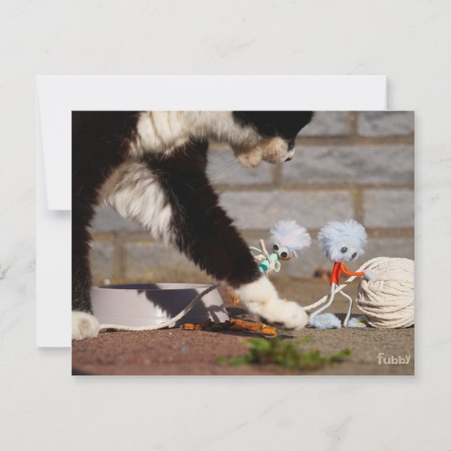 Fubby playing with their friend the cat. card (Front)