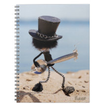 Fubby rock guitarist with hat on the beach.
