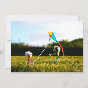 Fubby's playing together with a kite. invitation