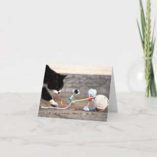 Fubby's playing with ball of string and Puss Ping. Thank You Card