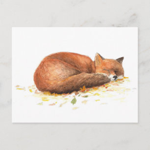 Fuchs Postcard