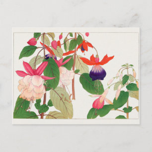Fuchsia by Tanigami Konan Postcard
