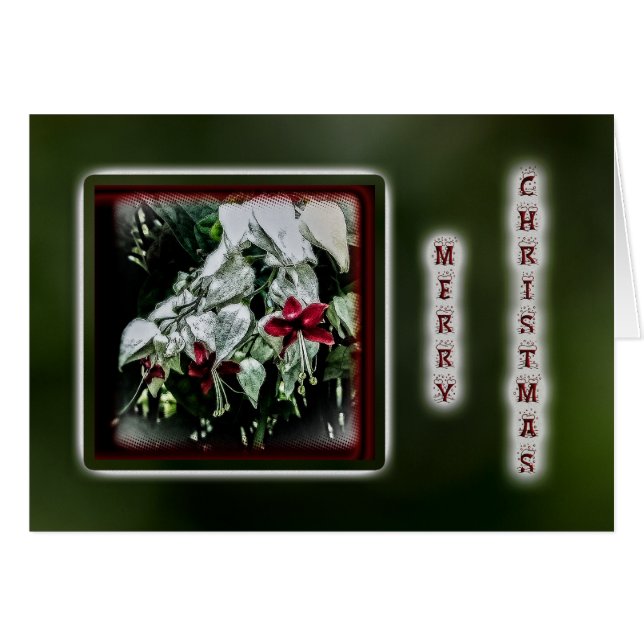Fuchsia Christmas Greeting Card - Red (Front Horizontal)