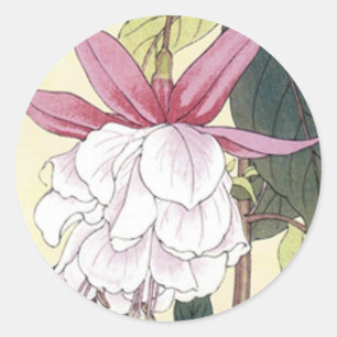 Fuchsia Classic Round Sticker