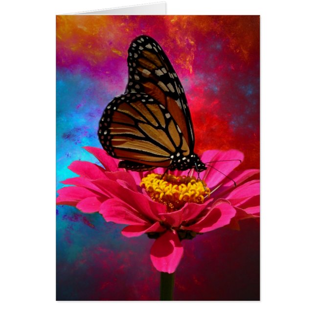 fuchsia daisy turquoise teal bohemian butterfly (Front)