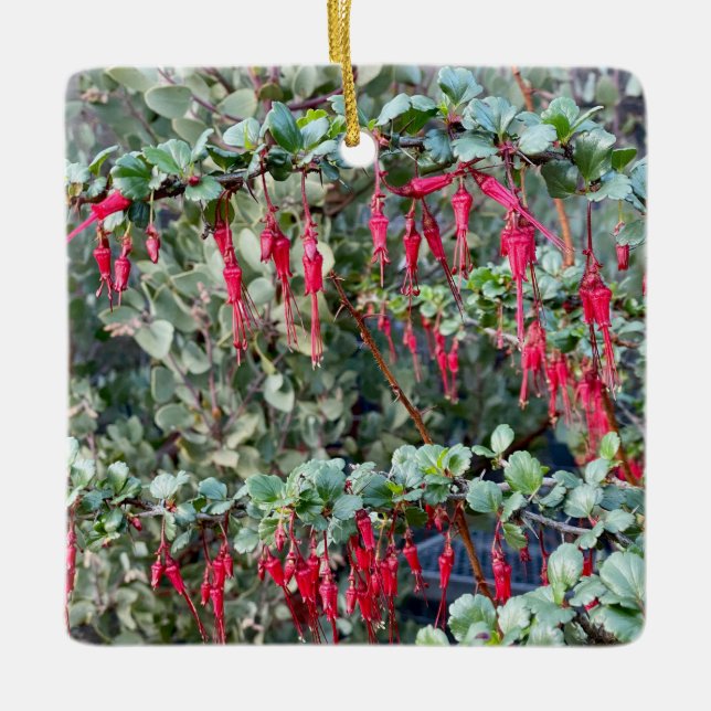 Fuchsia Flower Gooseberry Ceramic Ornament (Front)