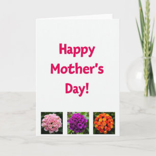 Fuchsia Flowers Greeting Card