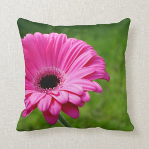 Fuchsia Gerbera Daisy Blooming Cushion