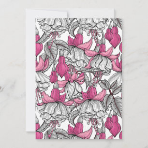 Fuchsia in white and pink