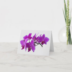 Fuchsia moth orchids on a Thank You card