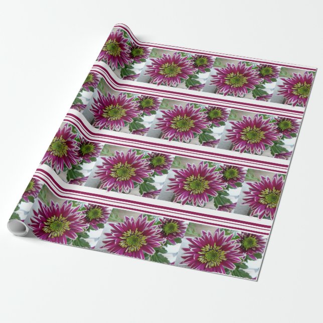 Fuchsia Pink Chrysanthemums Collage Wrapping Paper (Unrolled)