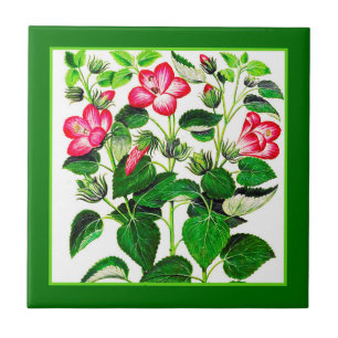 Fuchsia Pink Italian Hibiscus flowers Ceramic Tile