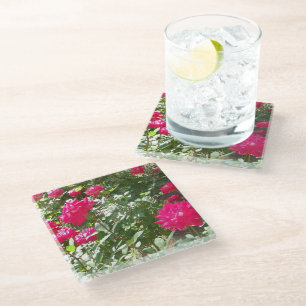 Fuchsia roses everywhere glass coaster