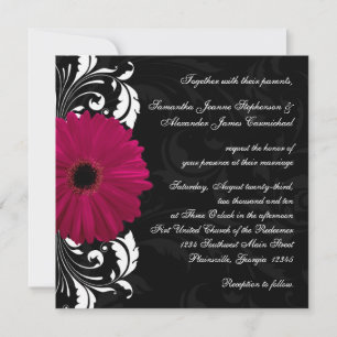 Fuchsia Scroll Gerbera Daisy w/Black and White Invitation