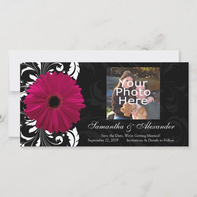 Fuchsia Scroll Gerbera Daisy w/Black and White Save The Date (Front)