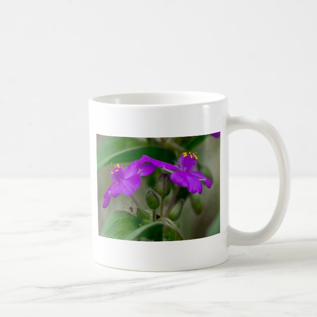 Fuchsia Spiderwort Twins Wildflower Gifts  Apparel Coffee Mug (Right)