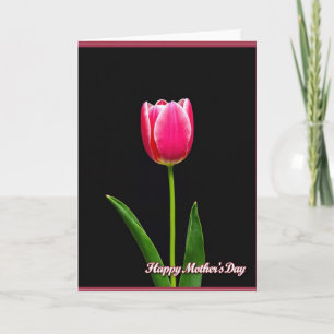 Fuchsia Tulip Mothers Day Card