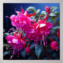  fuchsia watercolor  Poster