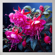 fuchsia watercolor Poster