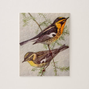 Fuertes Blackburnian Warbler Bird Painting Jigsaw  Puzzle